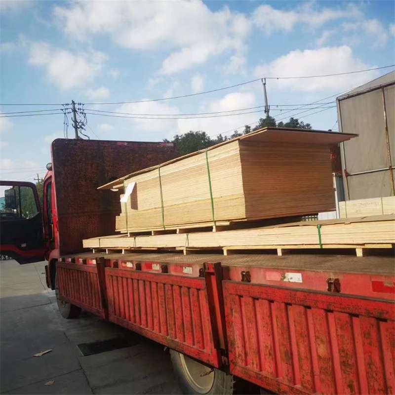 辽宁铁岭银州至塔城货运专线，一站式物流服务助您成功